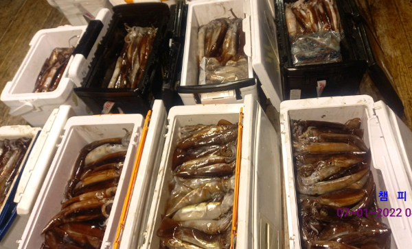 DateCamera0107041436.jpg