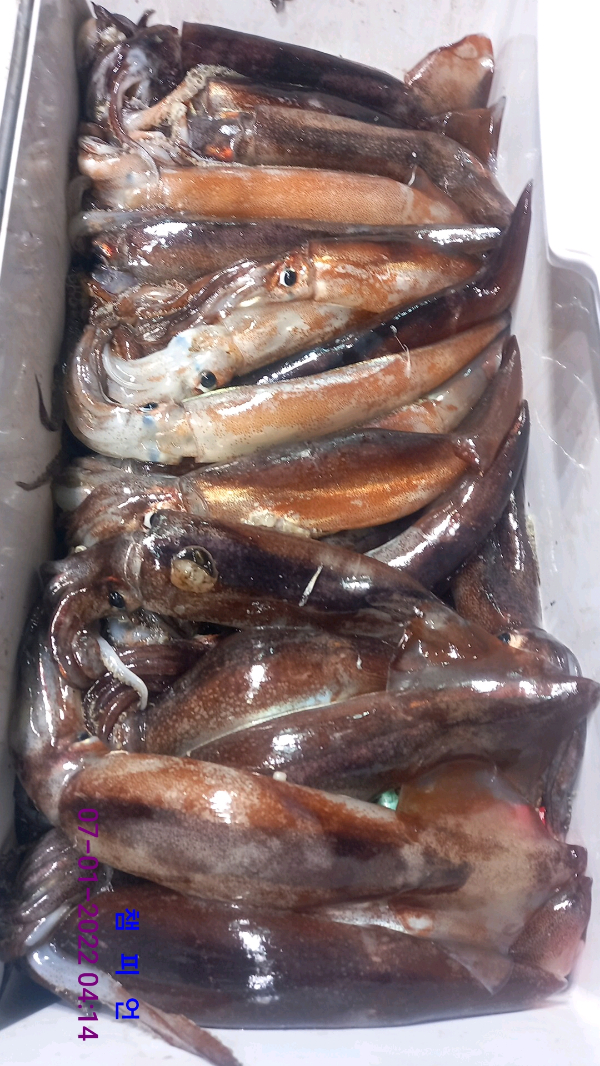 DateCamera0107041449.jpg