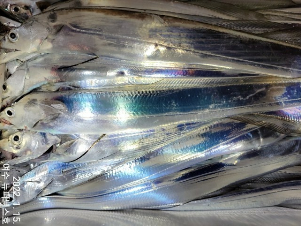 1월15일 (9)-tile.jpg