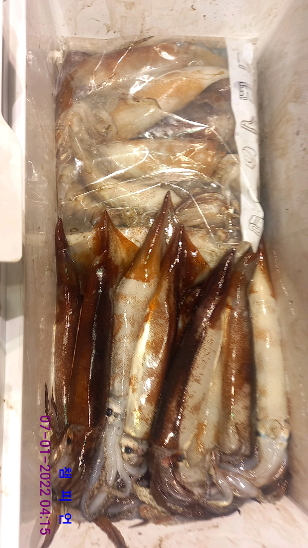 DateCamera0107041557.jpg