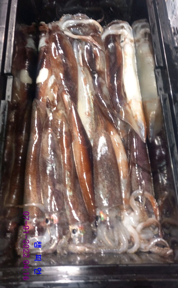 DateCamera0107041606.jpg