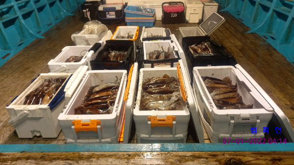 DateCamera0107041404.jpg