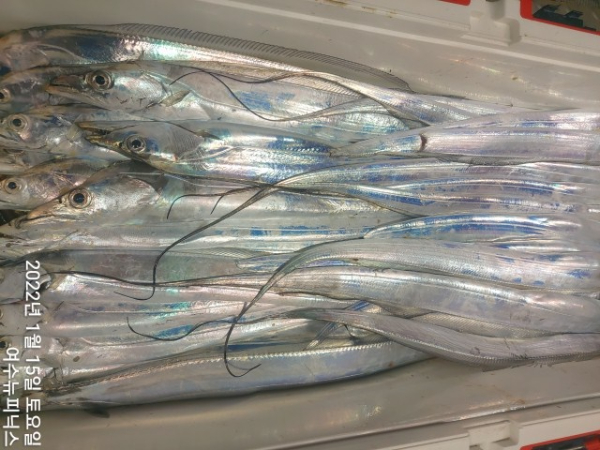 1월15일 (20)-tile.jpg