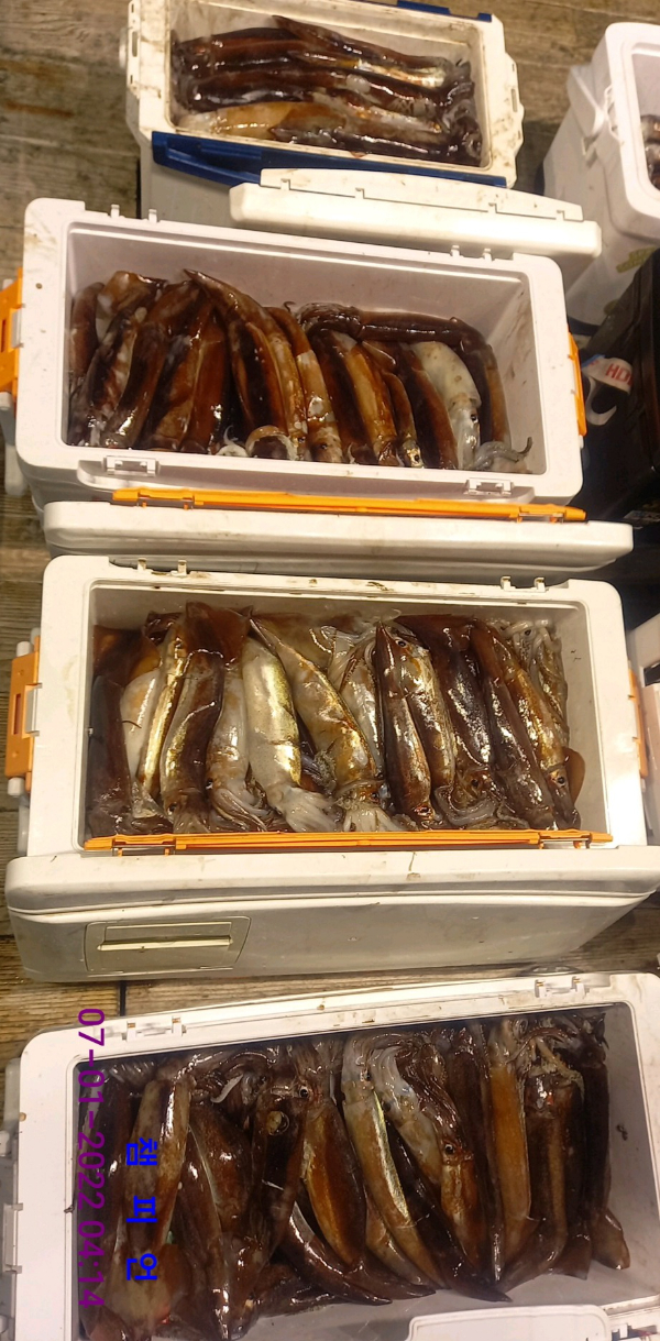 DateCamera0107041443.jpg