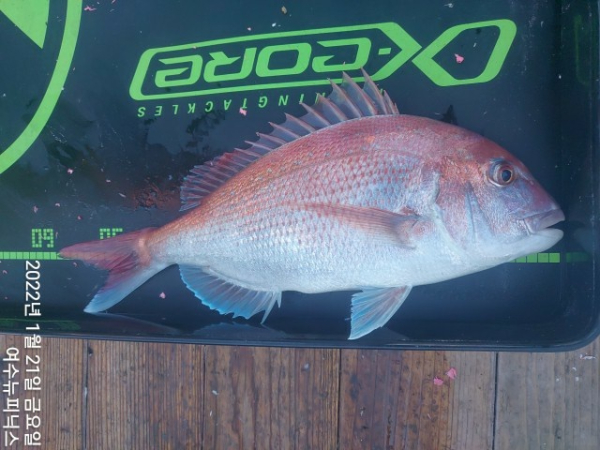 1월21일 (5)-tile.jpg