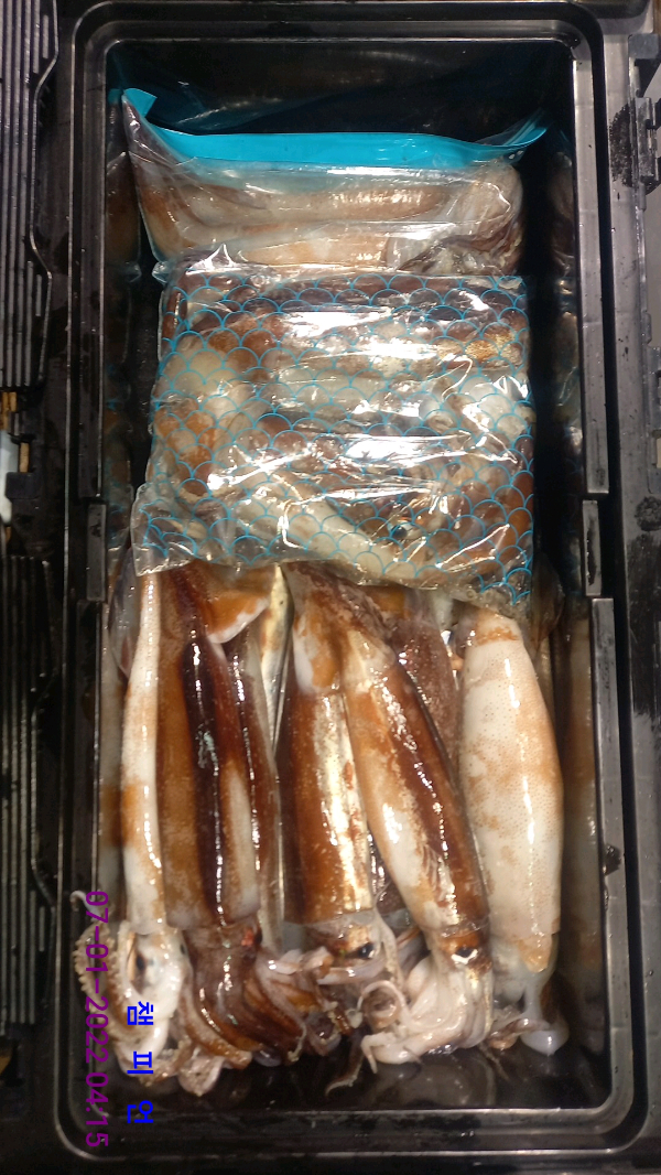 DateCamera0107041552.jpg