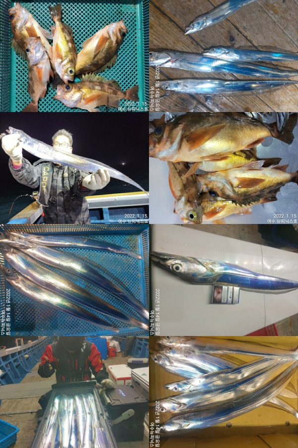 한1월15일 (6)-tile.jpg