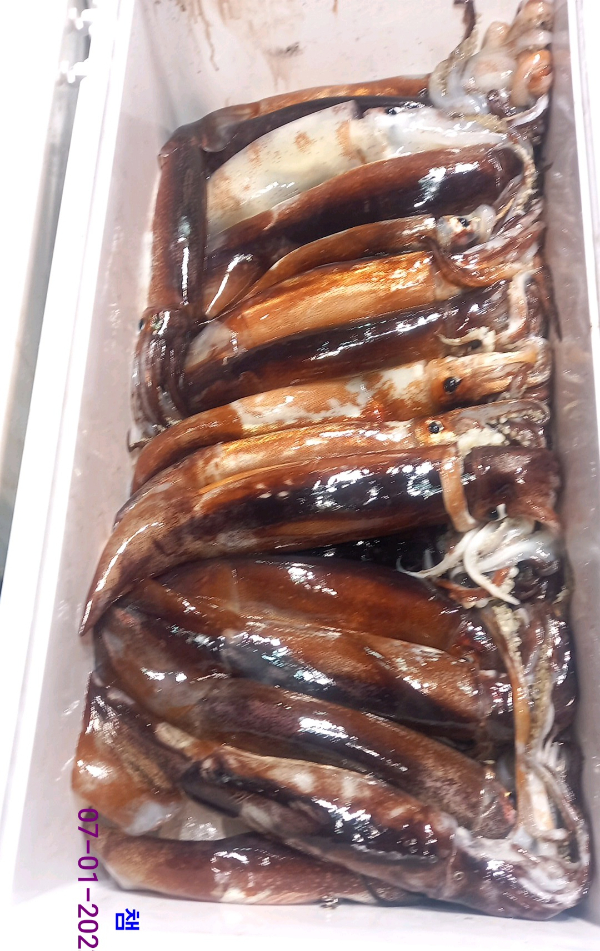 DateCamera0107041500.jpg