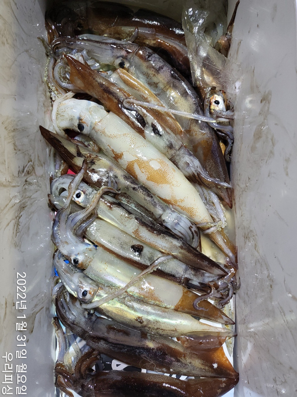 92074D2F-AC00-44A4-A47D-7219C95033AB.jpeg