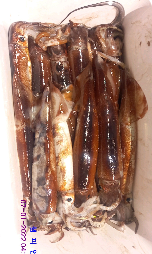 DateCamera0107041528.jpg