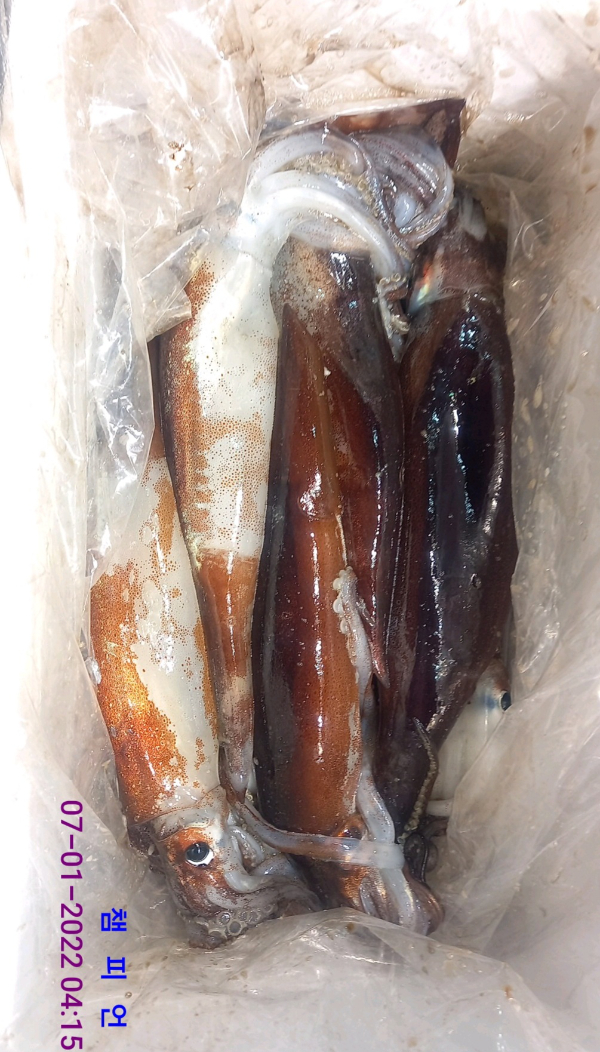 DateCamera0107041532.jpg
