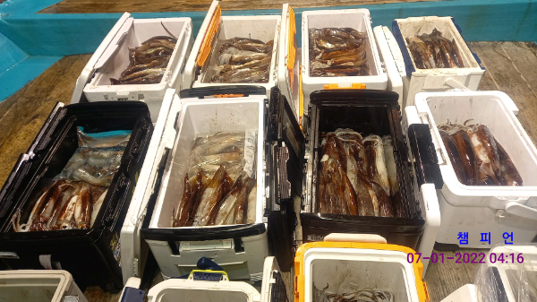 DateCamera0107041612.jpg