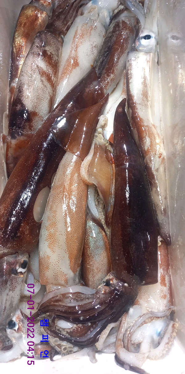 DateCamera0107041542.jpg