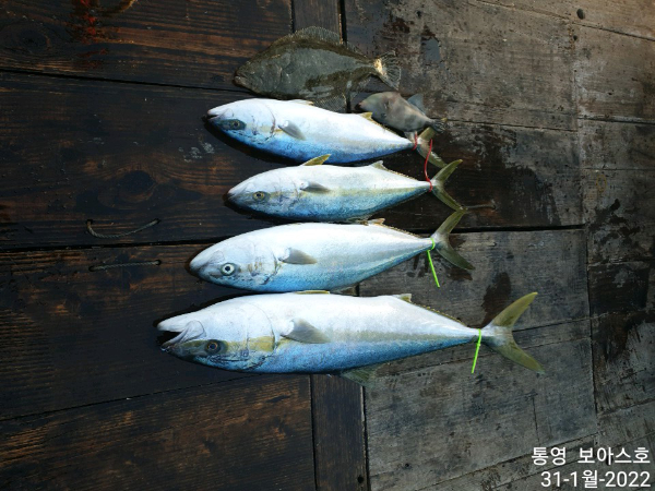 fa919b7c473bd79be6578fc0dd39fcb5.jpg