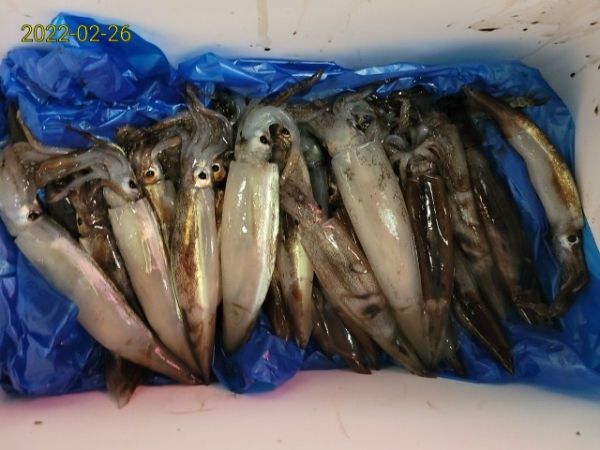 1f162cfc5646c5dcee3ff12b99583eca.jpg