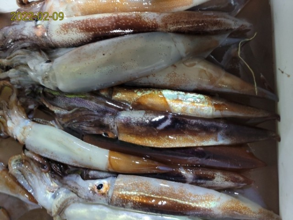 dbc945bedb2bf086958e7c42d4eebeaa.jpg