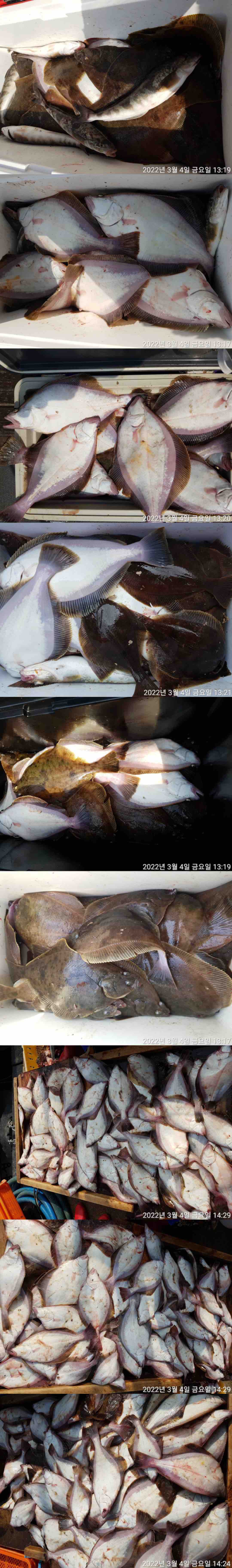 5E58C7AB-7B6D-4181-8B0B-9199D285F19B.jpeg