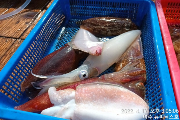 4월17일갑 (38).jpg