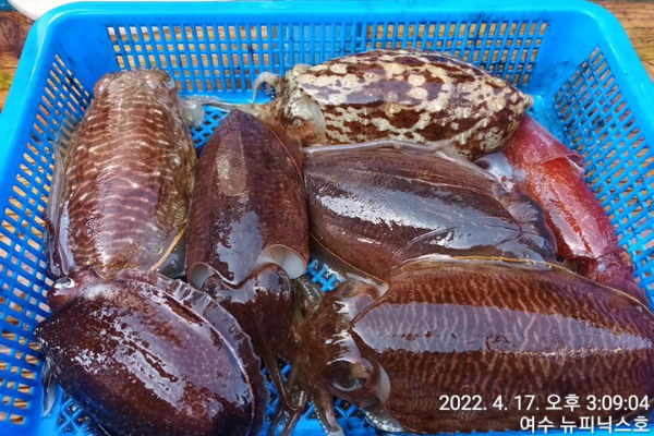 4월17일갑 (15).jpg