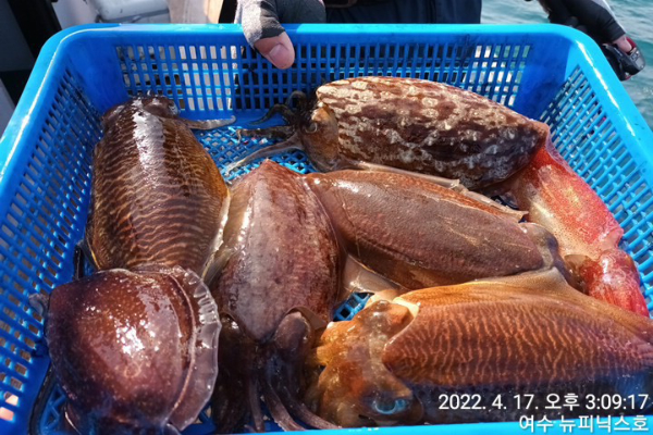 4월17일갑 (17).jpg