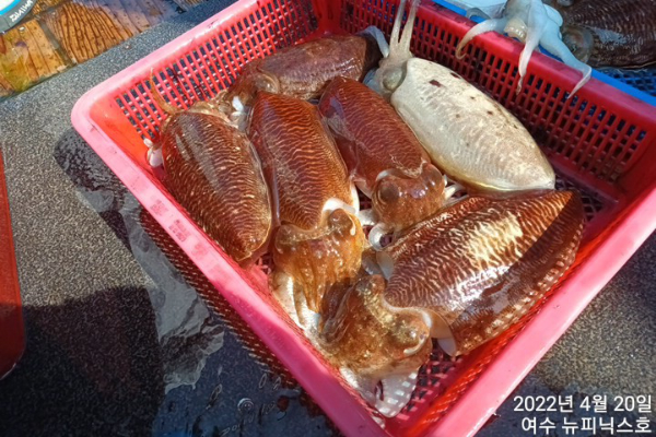 4월20일갑 (22).jpg