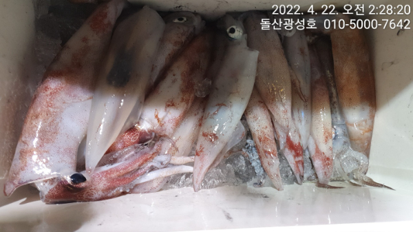 KakaoTalk_20220424_123904384_04.jpg