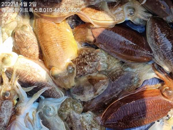 KakaoTalk_20220402_164536220_02.jpg