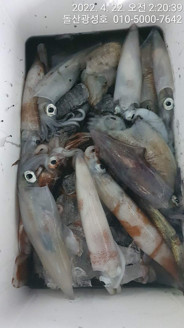 KakaoTalk_20220424_123904384_07.jpg