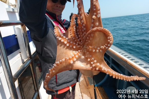 4월20일갑 (6).jpg