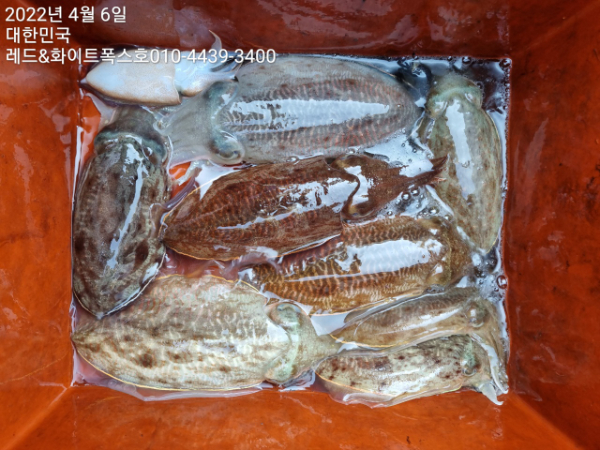 KakaoTalk_20220406_161329961_09.jpg
