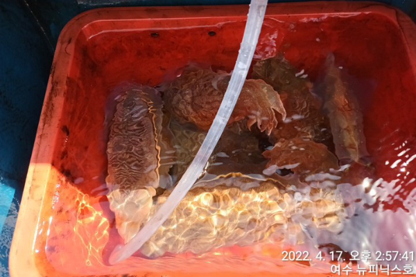 4월17일갑 (26).jpg