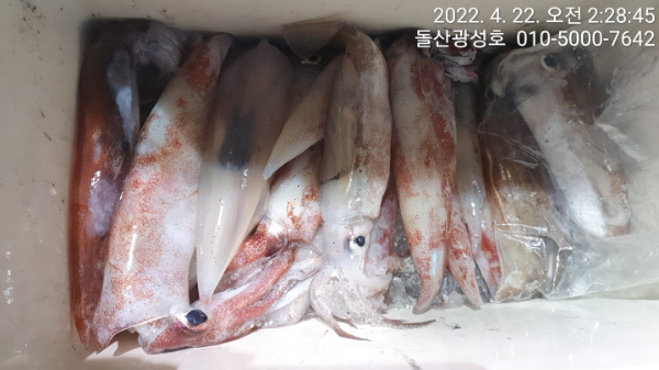 KakaoTalk_20220424_123904384.jpg