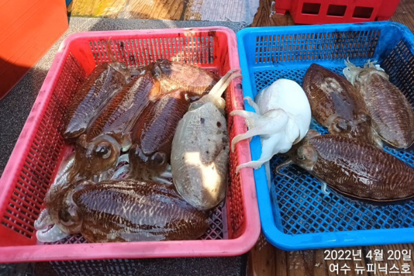 4월20일갑 (21).jpg