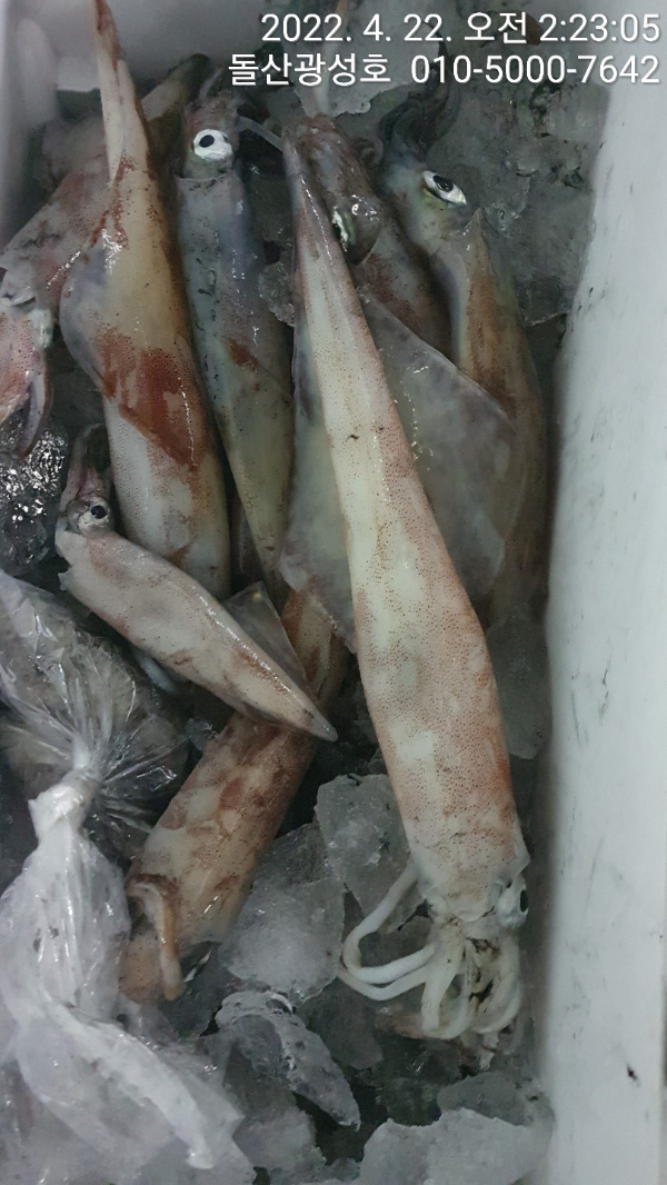KakaoTalk_20220424_123904384_05.jpg
