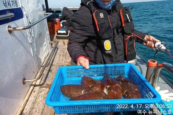 4월17일갑 (42).jpg