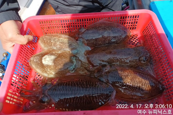 4월17일갑 (41).jpg