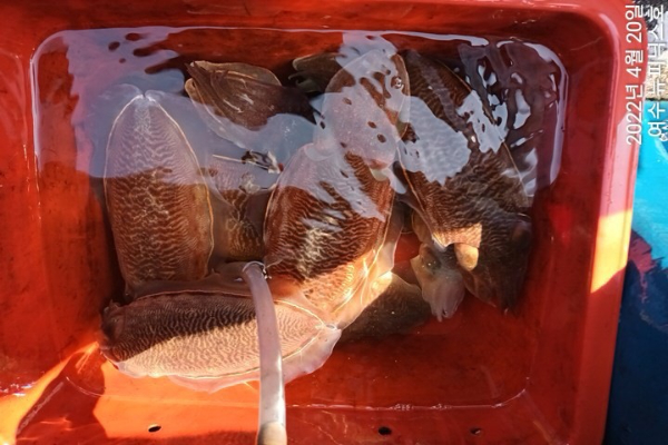 4월20일갑 (8)-tile.jpg