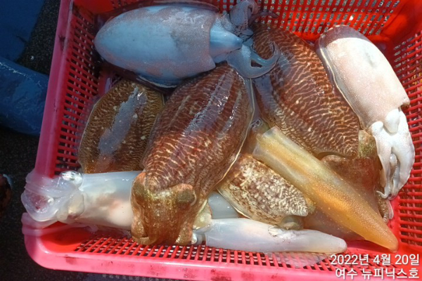 4월20일갑 (16).jpg