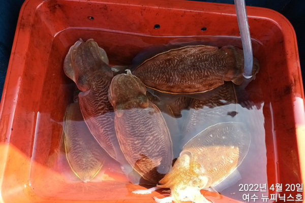 4월20일갑 (7).jpg