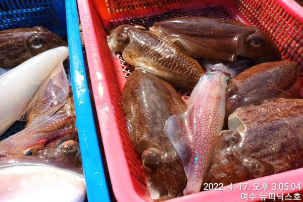 4월17일갑 (37).jpg