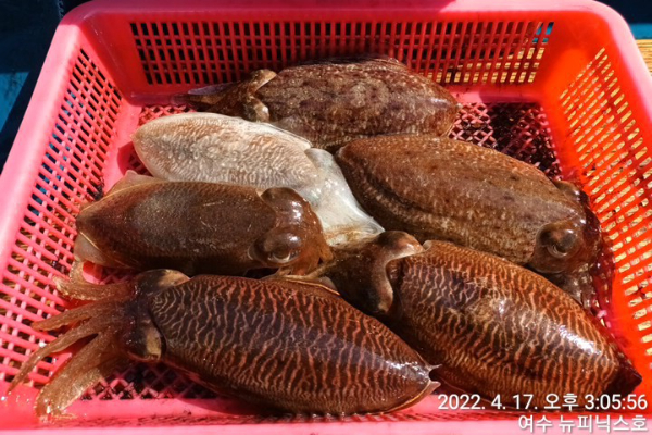 4월17일갑 (39).jpg