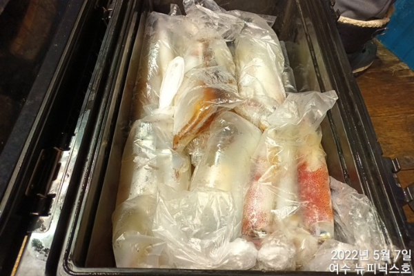 5월7일한치 (5).jpg