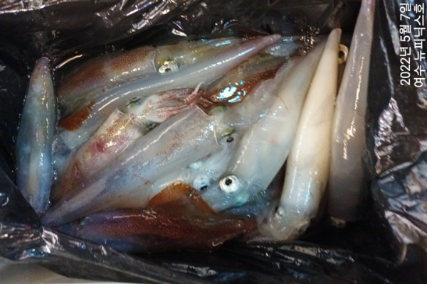 5월7일한치 (15)-tile.jpg