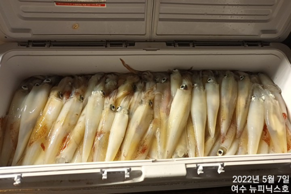 5월7일한치 (13).jpg