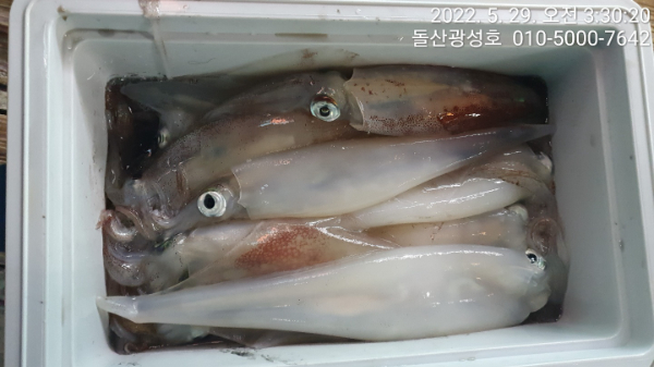 KakaoTalk_20220529_092251125_12.jpg