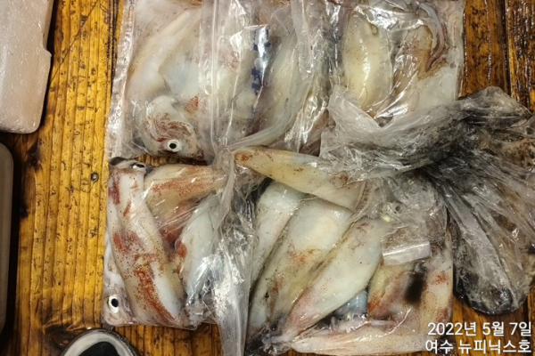 5월7일한치 (6).jpg