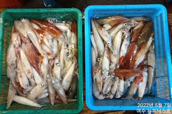 5월7일한치 (21).jpg