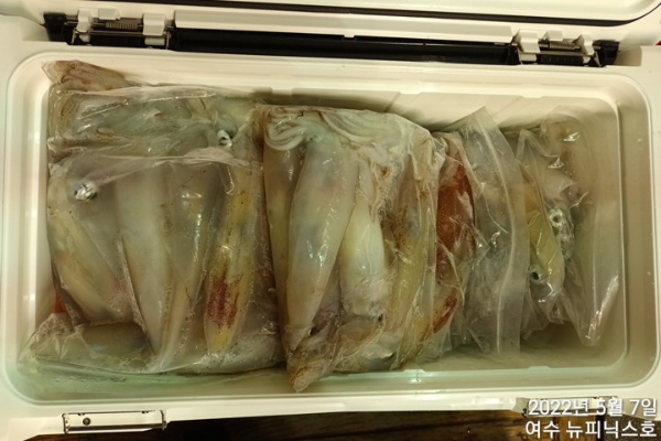 5월7일한치 (3).jpg