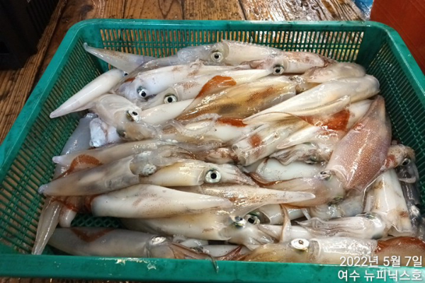 5월7일한치 (17).jpg