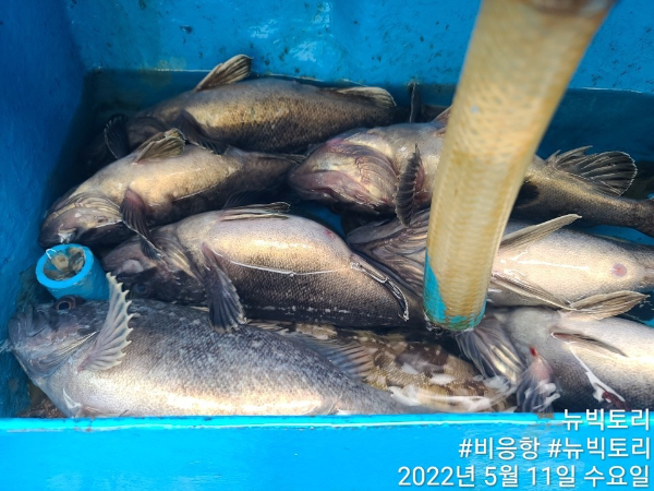 8F1AFE9B-9CCB-4B42-82B3-3BC21F19A545.jpeg